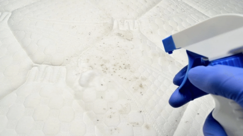 Traiter la moisissure apparue sur un matelas