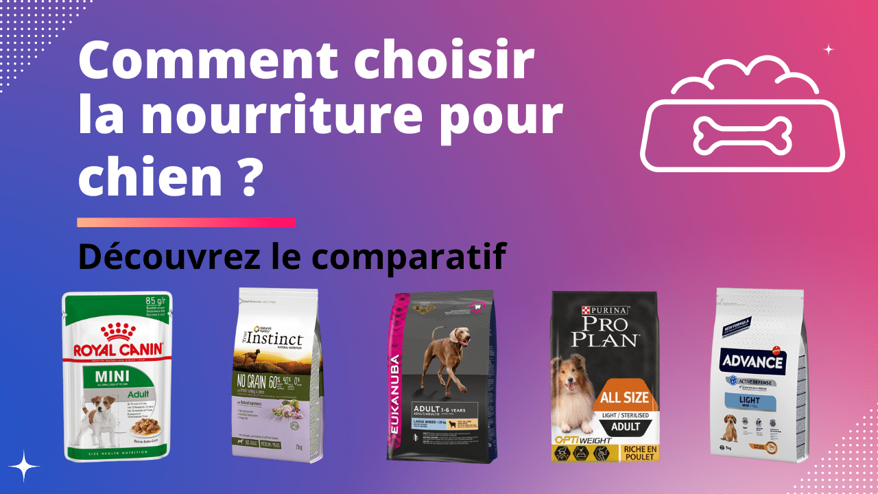 Les 6 meilleures nourritures pour chien 2024 Comparatif et Guide Les 6 meilleures nourritures pour chien 2024 Comparatif et Guide