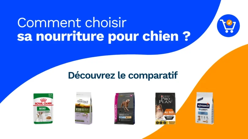 Nourriture pour chien, base de l'alimentation d'un animal de compagnie